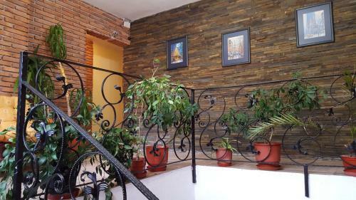 Hotel Livia