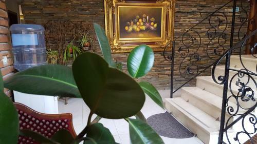 Hotel Livia
