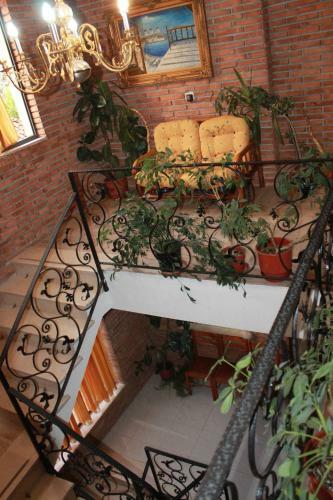 Hotel Livia