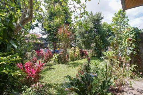 Hostal Mountain View Homestay
