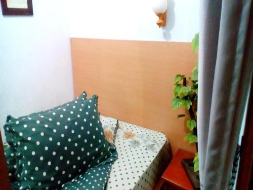 Villa Fortuna Homestay 1
