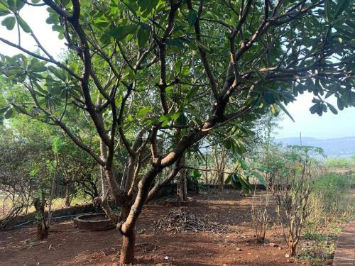 Agroturismo Gorge Khurd Donje Panshet Road Pune 411025