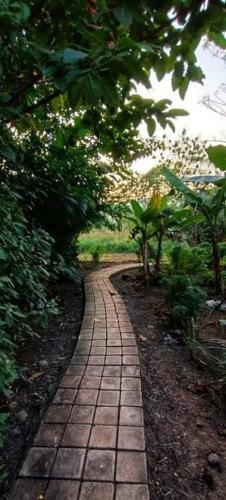 Agroturismo Gorge Khurd Donje Panshet Road Pune 411025