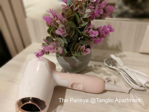 The Paneya @tanglin Apartment