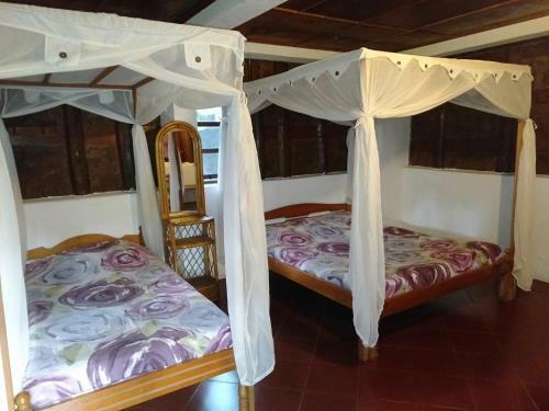 Hostal Bagus Bay Homestay