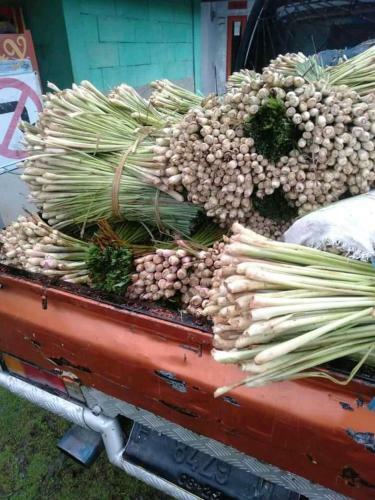 Omah Ayam Camping