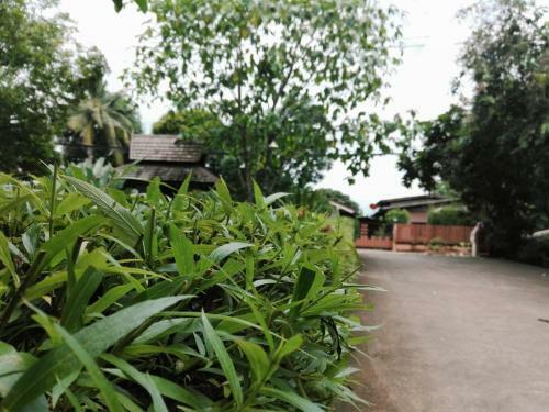 Hotel Auangkham Resort