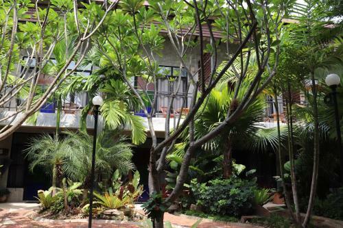 Hostal The Picturebook Guesthouse
