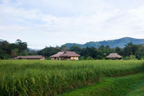 Hostal Lisu Lodge