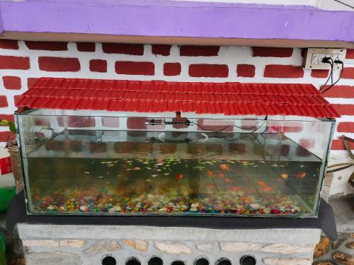 Villa Misbha Home Stay