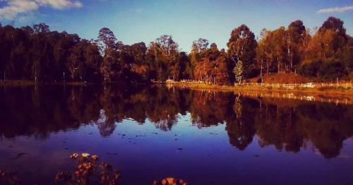 Kodai Jewel Box Homestay