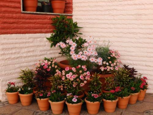 Villa Astha Homestay - Feeling Homely