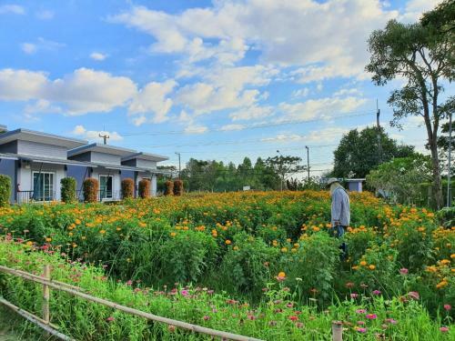 Hotel Maharak Resort