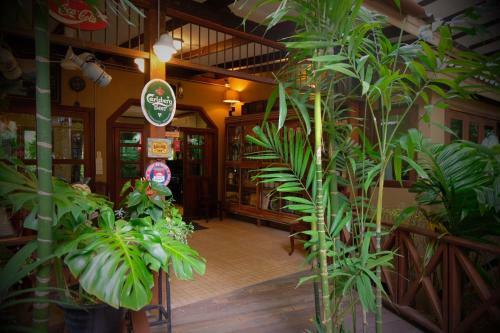 Hotel Ban Mai Vintage
