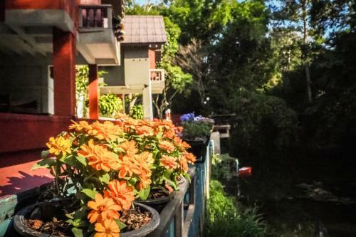 Bed & Breakfast Chomklong Experience