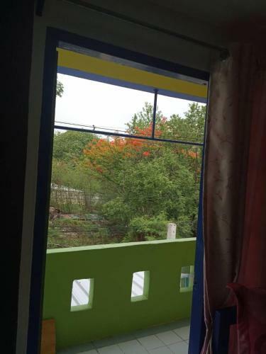 Hostal Big Mango@88 House