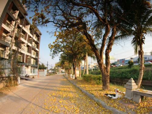 P Bliss Hotel