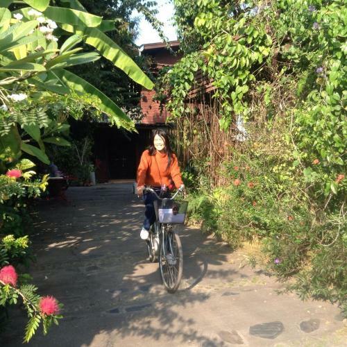 Banban Nannan Library And Guesthome