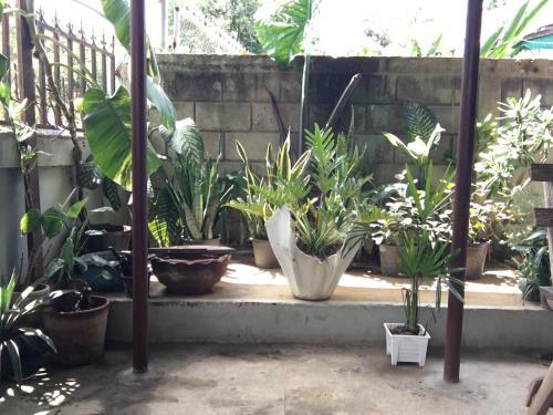 Imchai Homestay