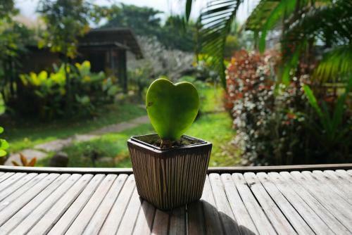 Hostal Love Pai Home