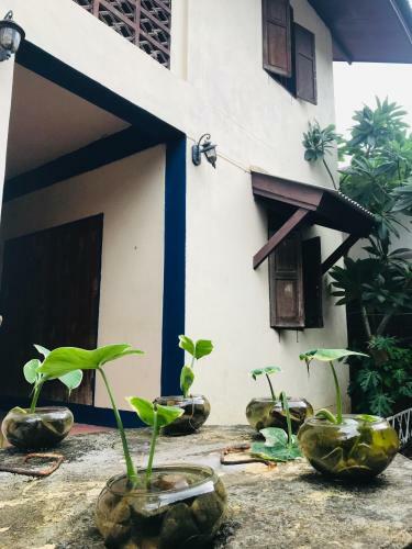 Sunny Hostel Pai