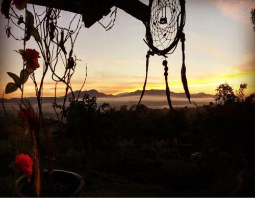 Hostal The Lookout Pai