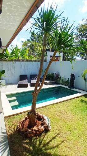 Bingin Pura Vida Villas