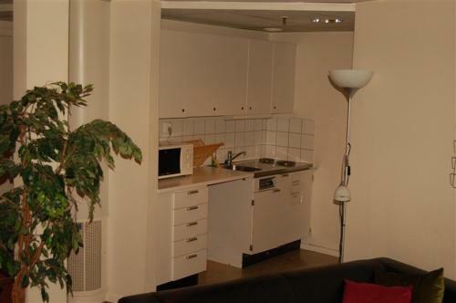 Hotel Kupolen
