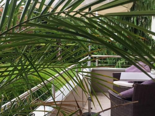 Hostal Appartements G�stehaus Gallob