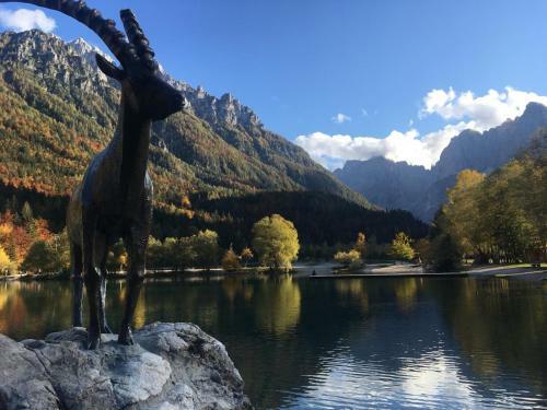 Hostal Appartements G�stehaus Gallob