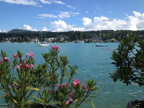 Hostal Appartements G�stehaus Gallob