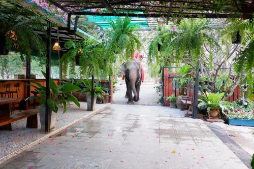 The Park Ayutthaya Resort And Spa