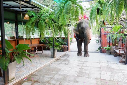 The Park Ayutthaya Resort And Spa