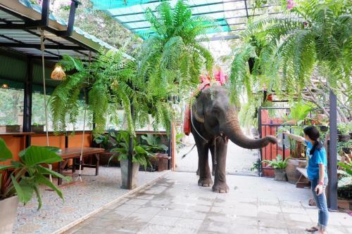 The Park Ayutthaya Resort And Spa
