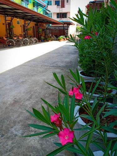 Hotel Siri Guesthouse
