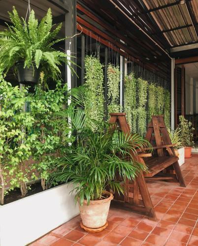 Albergue Momento House