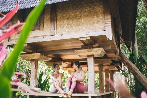 Lodge Roots Tree House