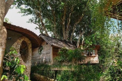 Lodge Roots Tree House