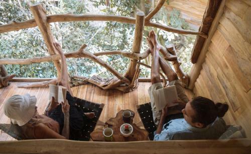 Lodge Roots Tree House
