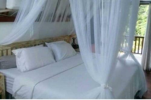 Bed & Breakfast Jing Jang Villa