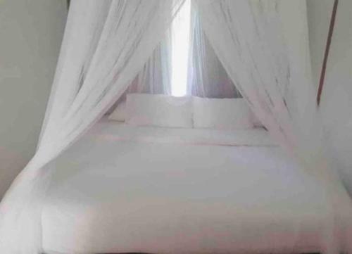 Bed & Breakfast Jing Jang Villa