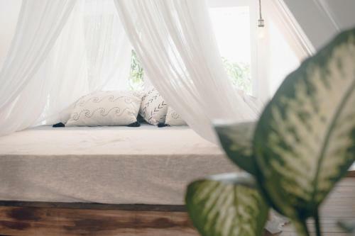 Hotel Salty Breeze Bali
