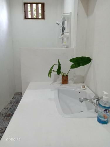 Villa Bannoi Himsuan