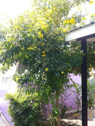 Hostal Sripech Home
