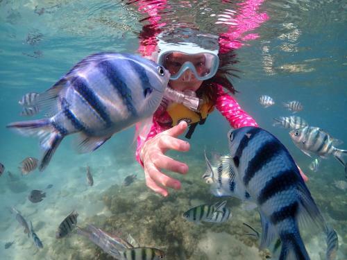 Uzeason Poolvilla Sattahip
