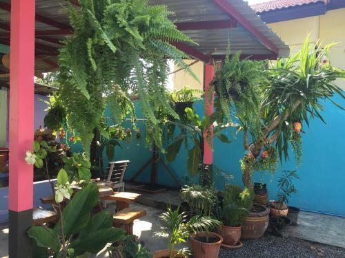 Hostal Bannrommai Sattahip
