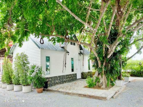 Lamoon Boutique Hotel