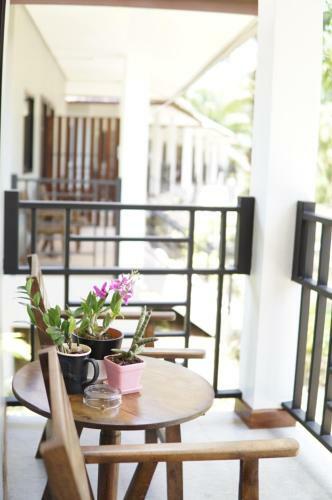 Hotel Palm Scenery Resort