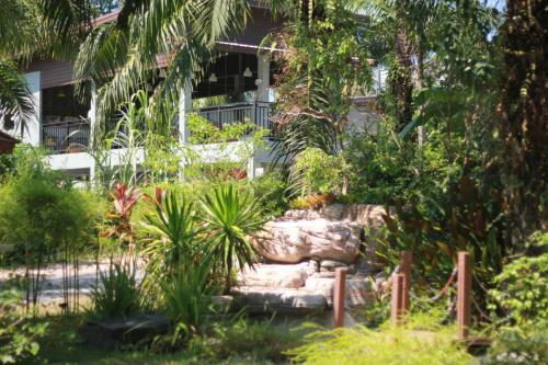 Hotel Palm Scenery Resort