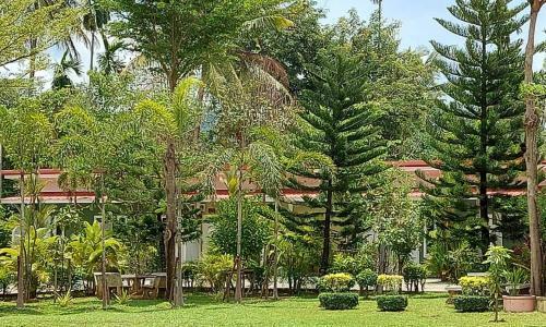 Hotel B Banana Resort